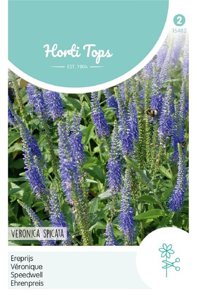 Veronica spicata cca 0,15g