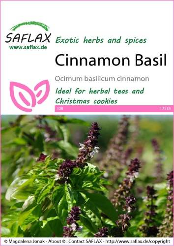 Bazalka škoricová Ocimum basilicum cinnamon cca 200 semien