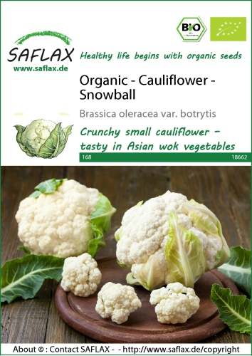 Karfiol Snow Ball BIO cca 70 semien
