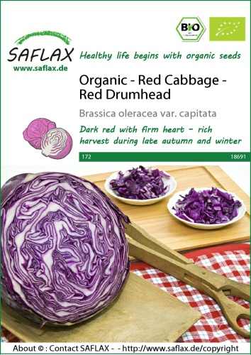 Kapusta červená BIO Red Drumhead cca 250 semien