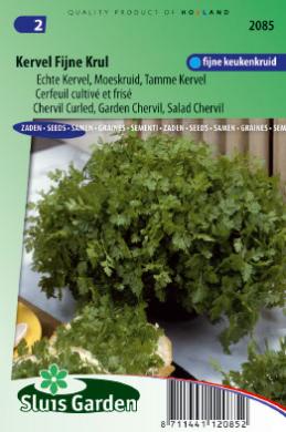 Trebuľka pravá Anthriscus cerefolium 5g ±2350 semien