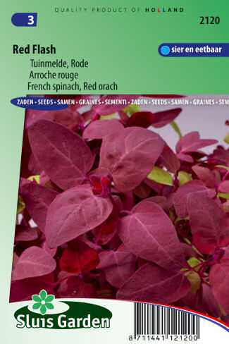 semena cerveny, francuzsky spenat