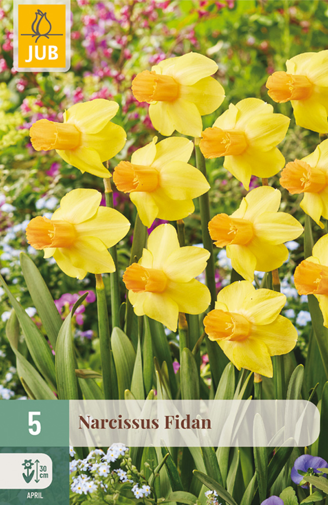 Narcis Fidan