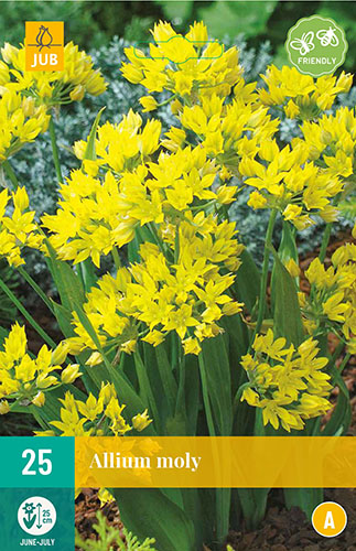 zlty okrasny cesnak, Allium Moly