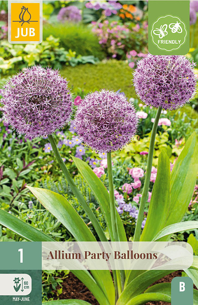 Allium Party Balloons 1 ks