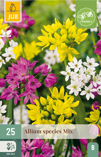 ALLIUM ŠPECIÁLNE MIX 25 ks