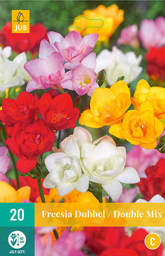 FREESIA PLNOKVETÉ MIX 20 ks
