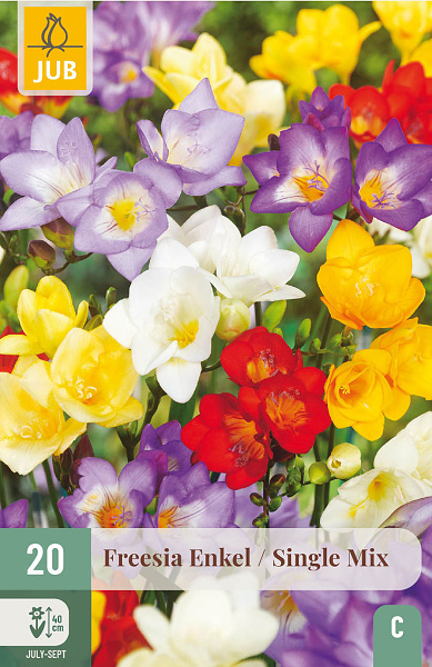 FREESIA JEDNODUCHÉ MIX 20 ks