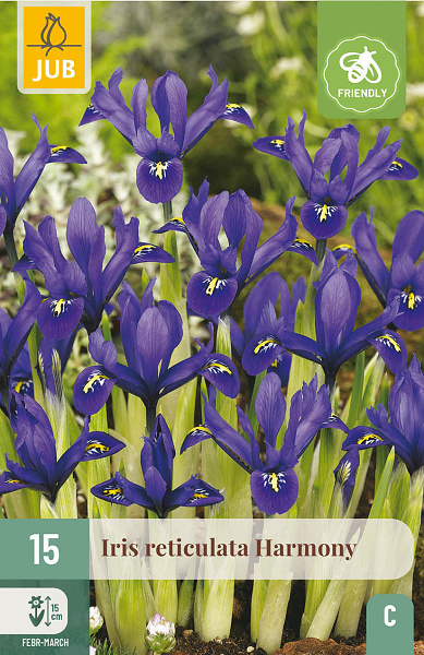 IRIS HARMONY 15 ks
