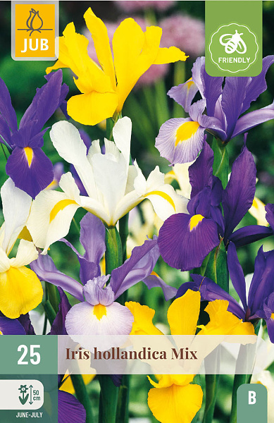 IRIS HOLLANDICA MIX NJ 25 ks