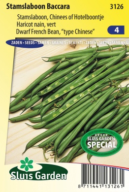 Fazula krícková, zelená fazulka, Baccara, cínska fazula,