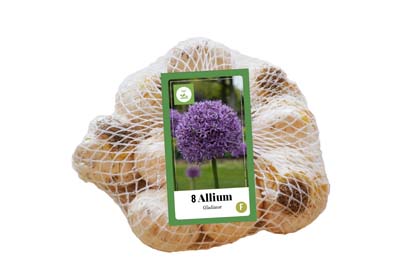 Sietka ALLIUM GLADIATOR 8 ks