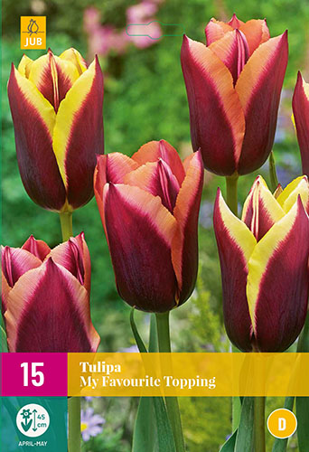 cibuloviny, tulipan, cibule kvetov, cibulky kvetov, cibulky tulipanov