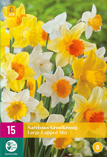 Narcis, Large Cup Mix, narcisy, kvety, cibuloviny, 