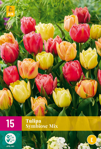 TULIPÁNY SYMBIOSE MIX 15 ks