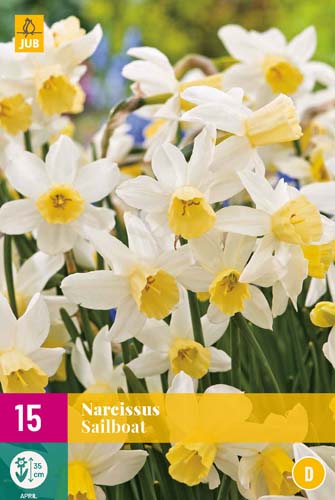 XXL Balenia Narcisy SAILBOAT 15 ks