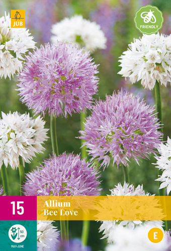 ALLIUM BEE LOVE 15 ks