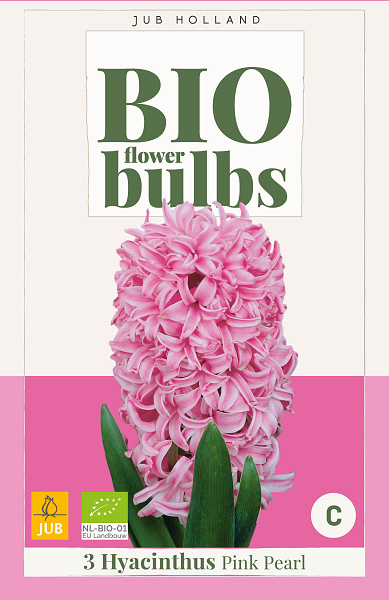 bio cibuľky hyacintov, hyacint pink pearl, bio hyacint