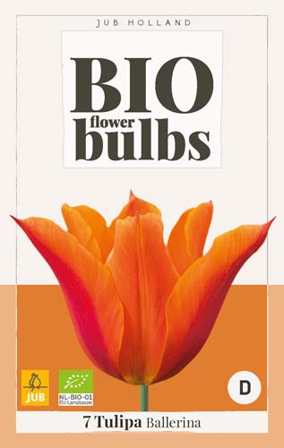 BIO Cibuloviny Tulipán BALLERINA 7 ks