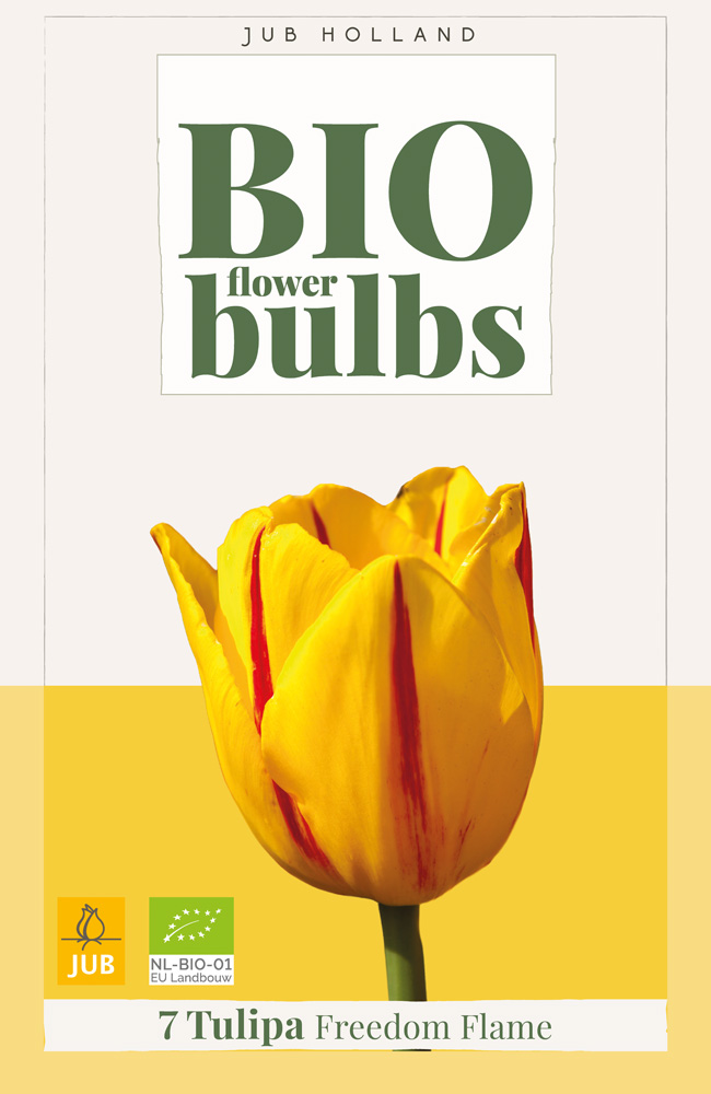 Tulipán Freedom Flame BIO 7ks