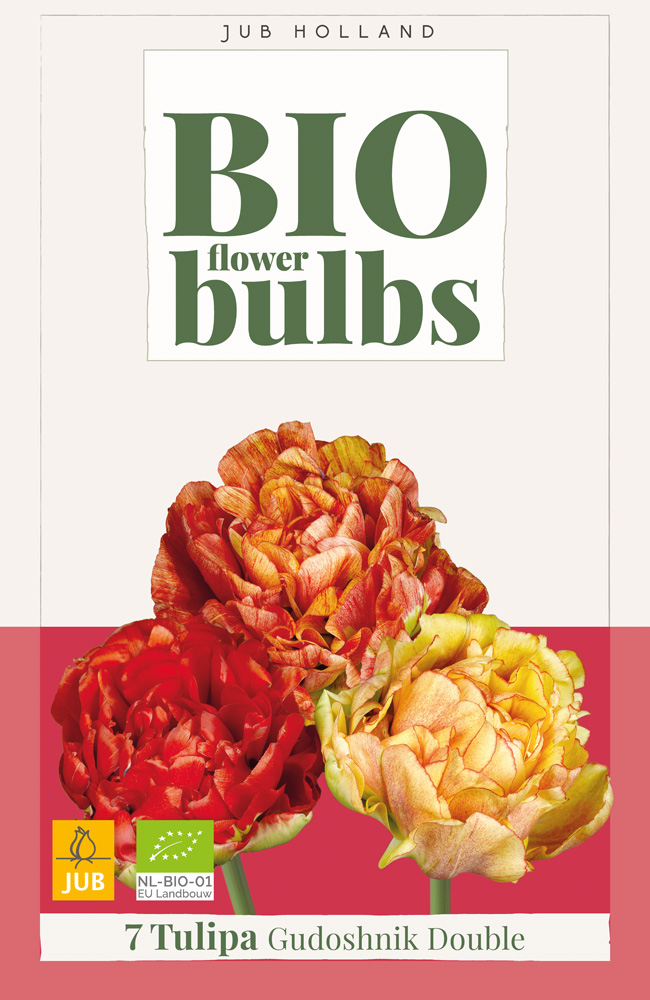 Tulipán Gudoshnik Double BIO 7ks