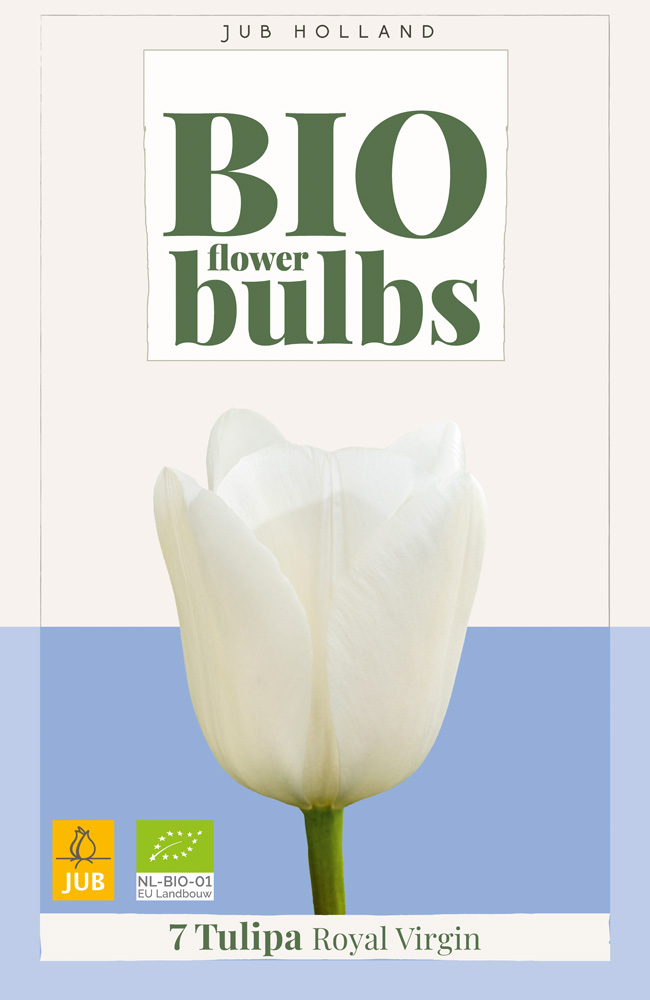 Tulipán Royal Virgin BIO 7ks