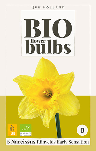 Narcis RIJNVELDS EARLY SENSATION - 5 ks