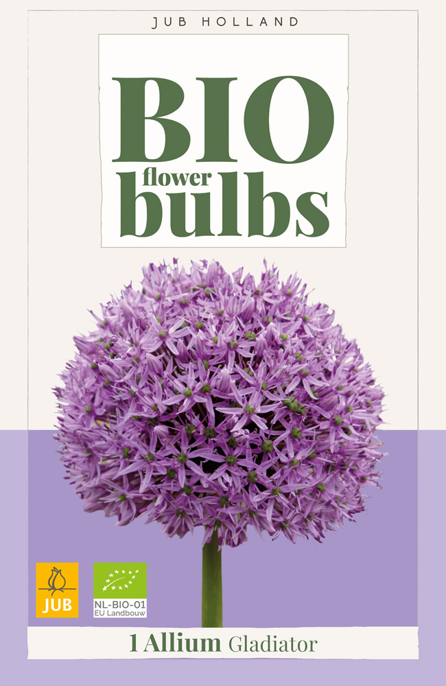 ALLIUM Gladiator - BIO 1 ks