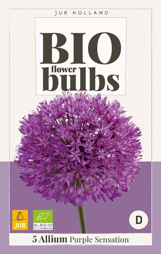 ALLIUM PURPLE SENSATION - BIO 5 ks