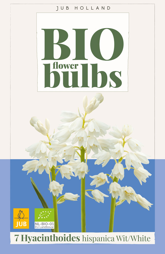 HYACINTHOIDES HISPANICA White - BIO 7 ks