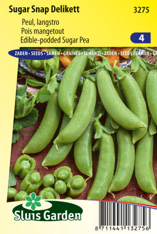 hrach manzetovy semena zeleniny kvetov bylinky sadit pestovat rajcin paprika uhoriek bazalka