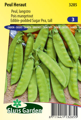 hrach manzetovy semena zeleniny kvetov bylinky sadit pestovat rajcin paprika uhoriek bazalka