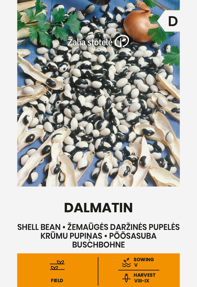 Fazuľa kríčková Dalmatin, cca 10 g