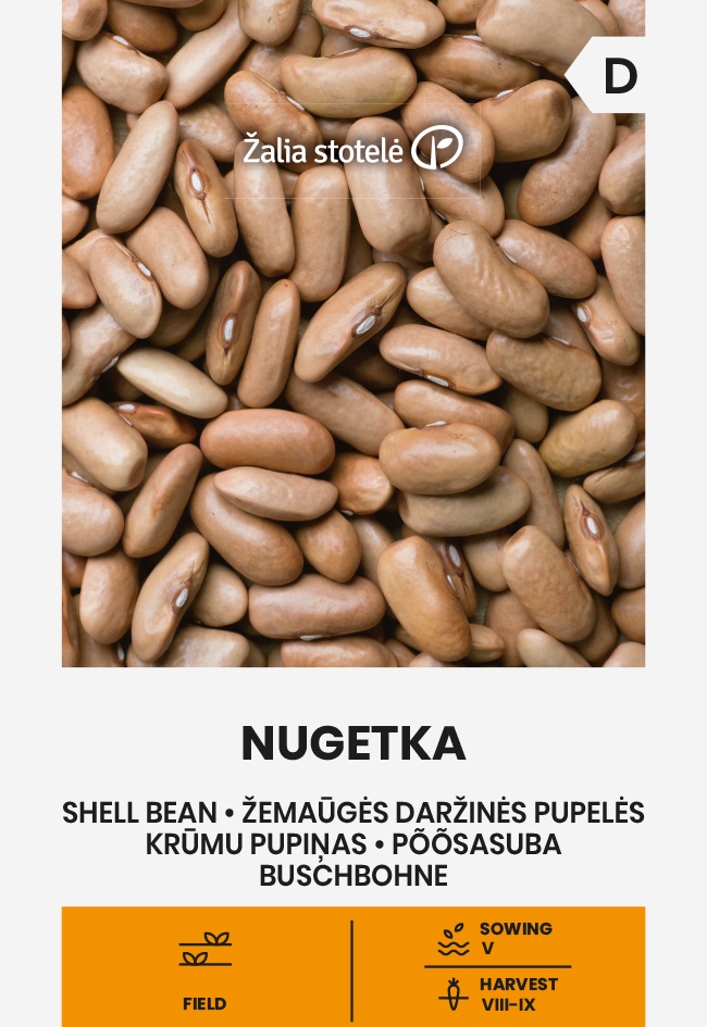 Fazuľa kríčková Nugetka, cca 20 g