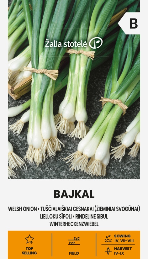 Cibuľa Welsh Bajkal, cca 2 g