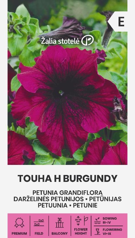 Petúnia Touha Burgundy F1, cca 20 semien