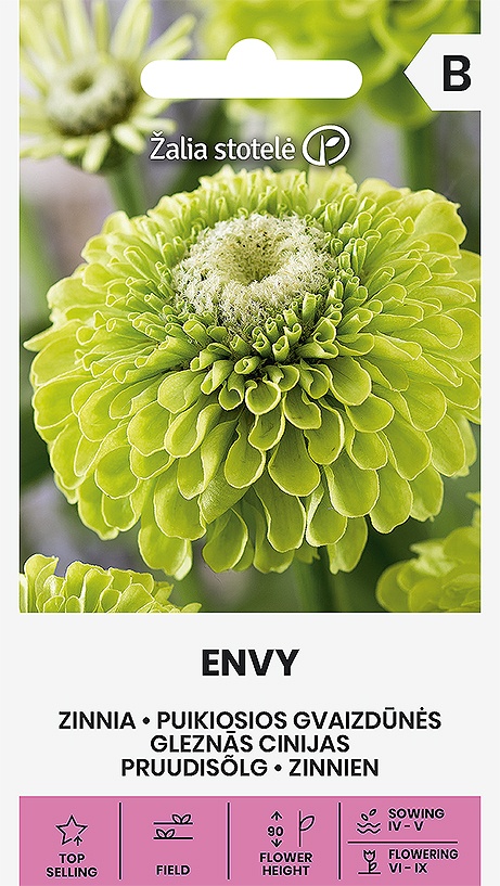 Zinnia elegans (Cínia pôvabná) Envy, cca 1 g