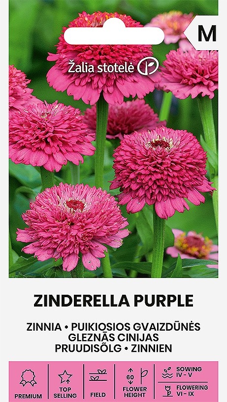 Zinnia elegans Zinderella Purple, cca 20 semien