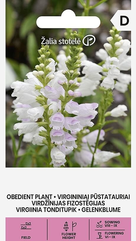Physostegia virginiana Benth, cca 0,2 g
