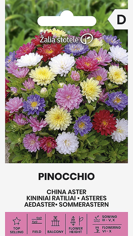 Callistephus chinensis Pinocchio mix, cca 0,3 g