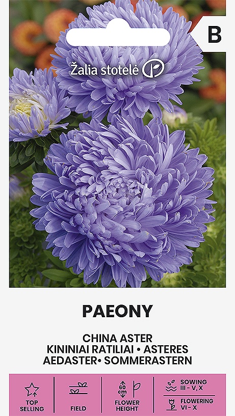 Callistephus chinensis (Astra čínska) Paeony Light Blue, cca 0,5 g