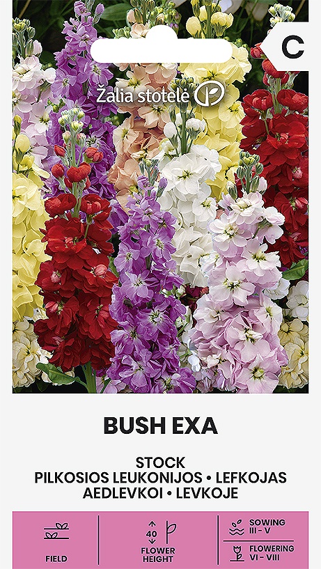 Matthiola incana Busch Exa, cca 0,4 g