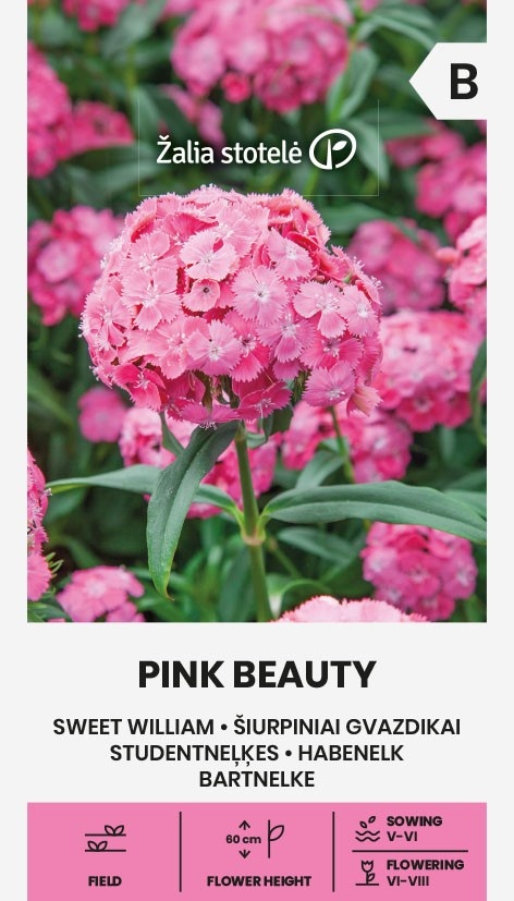 Dianthus barbatus Pink Beauty, cca 1 g