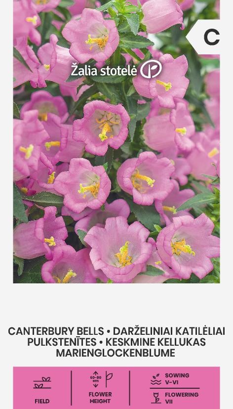 Campanula medium L., cca 0,3 g