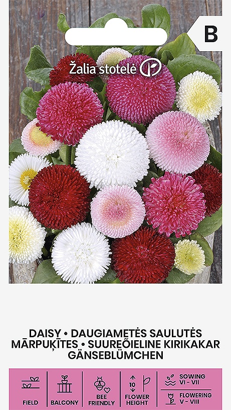 Bellis perennis L., cca 0,2 g
