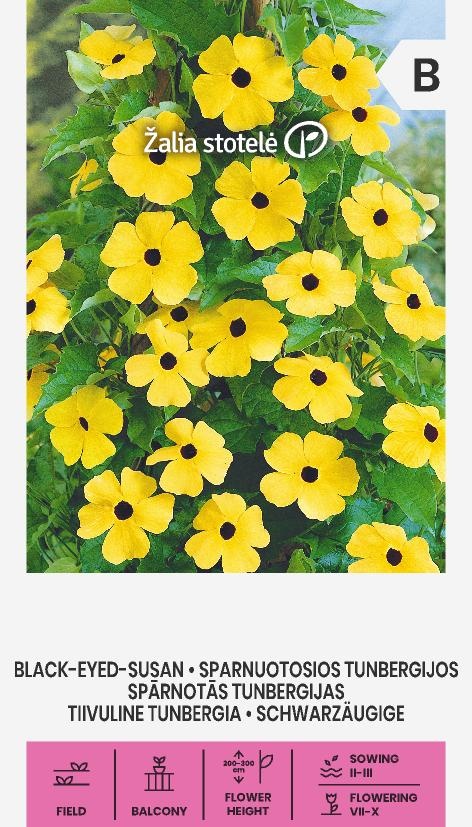 Thunbergia alata , cca 0,5 g