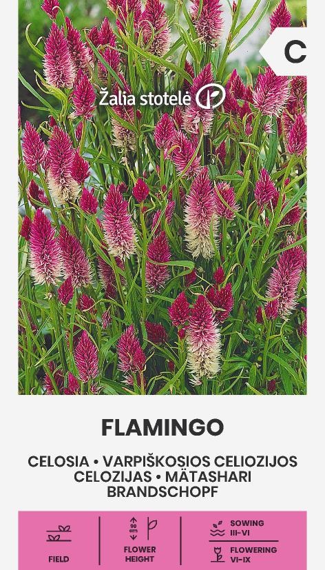 Celosia Flamingo, cca 0,3 g