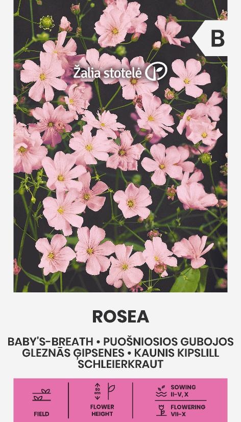Gypsophila Rosea, cca 1 g