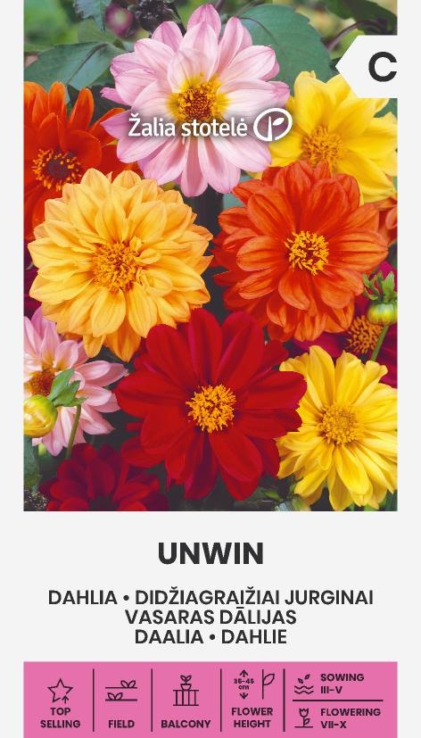 Dahlia Pinnata Cav. Unwin, cca 1 g