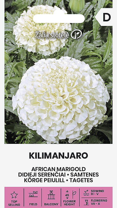 Tagetes erecta (aksamietnica) Kilimanjaro, cca 0,2 g